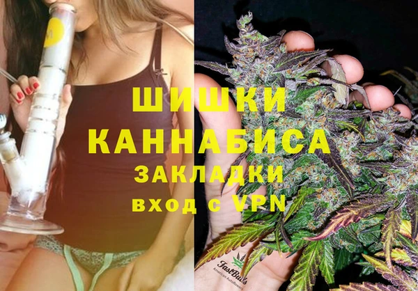 ECSTASY Белокуриха