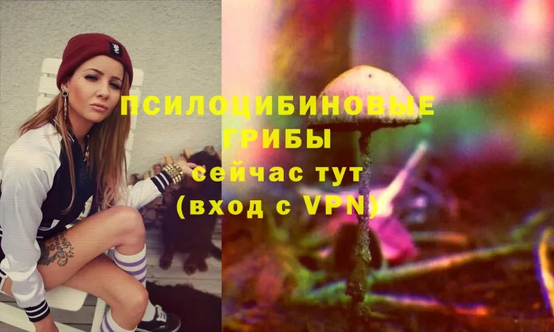 Галлюциногенные грибы Magic Shrooms  OMG зеркало  Зеленодольск  даркнет сайт 